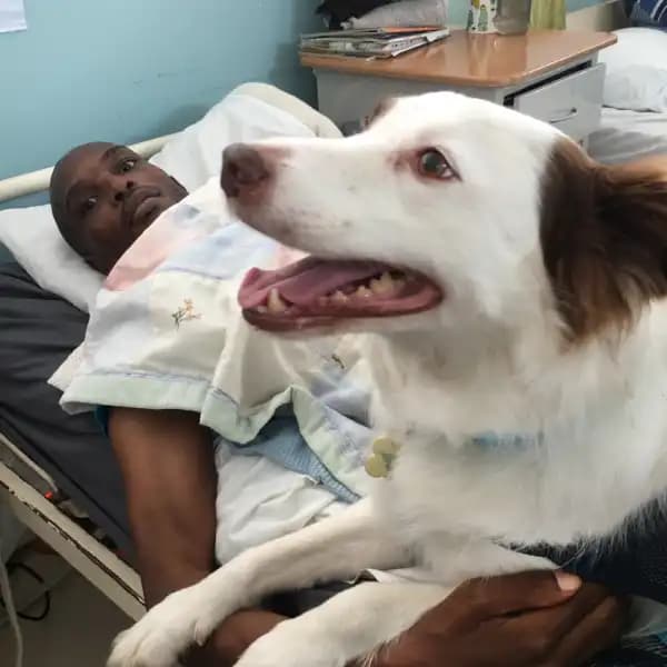 Angel Paws Therapy dog doing hospital ward visits