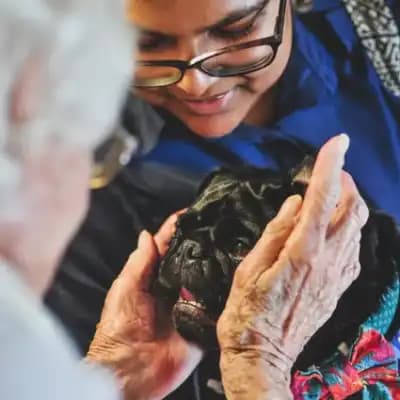 Angel Paws Therapy dog at a frail care facility